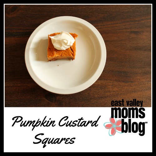 Pumpkin Custard Squares
