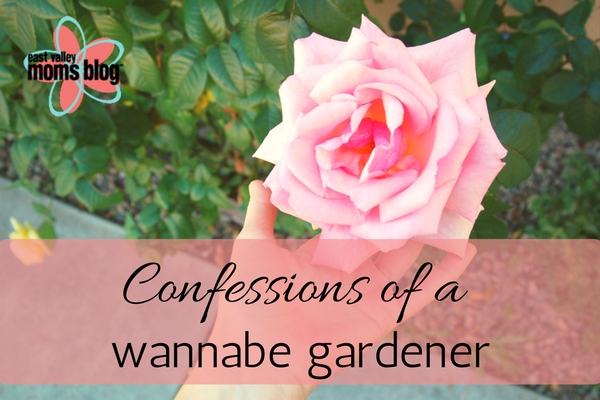 Confessions of a wannabe gardener. East Valley Moms Blog. Tabitha Dumas