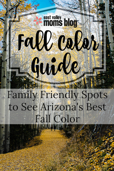 Throw on your boots, a scarf, grab a PSL, and head out to see some of Arizona's best Fall color! Our guide has all the best spots to enjoy and explore the gorgeous changing leaves with your family.