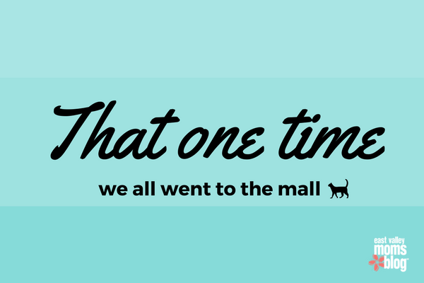 That one time we all went to the Mall | East Valley Moms Blog