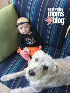 My Daughters Best Friend: National Dog Day | East Valley Moms Blog