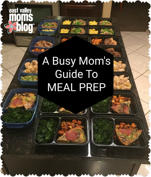 Busy Mom Food Prep - Family Fresh Meals