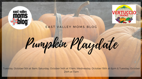 Pumpkin Playdates at Vertuccio Farms | East Valley Moms Blog