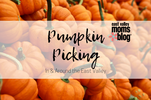 Pumpkin Picking In & Around the East Valley | East Valley Moms Blog