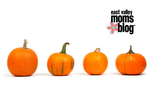 Not your typical pumpkin recipe | East Valley Moms Blog