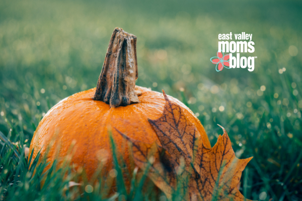 Things to do during fall break | East Valley Moms Blog