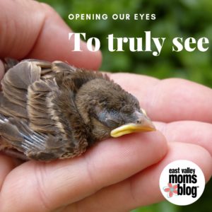 Opening Our Eyes to Truly See | East Valley Moms Blog