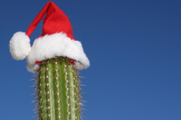 a saguaro cactus with a Santa hat on top, with a blue sky in the background, signifying Christmas in Phoenix Arizona