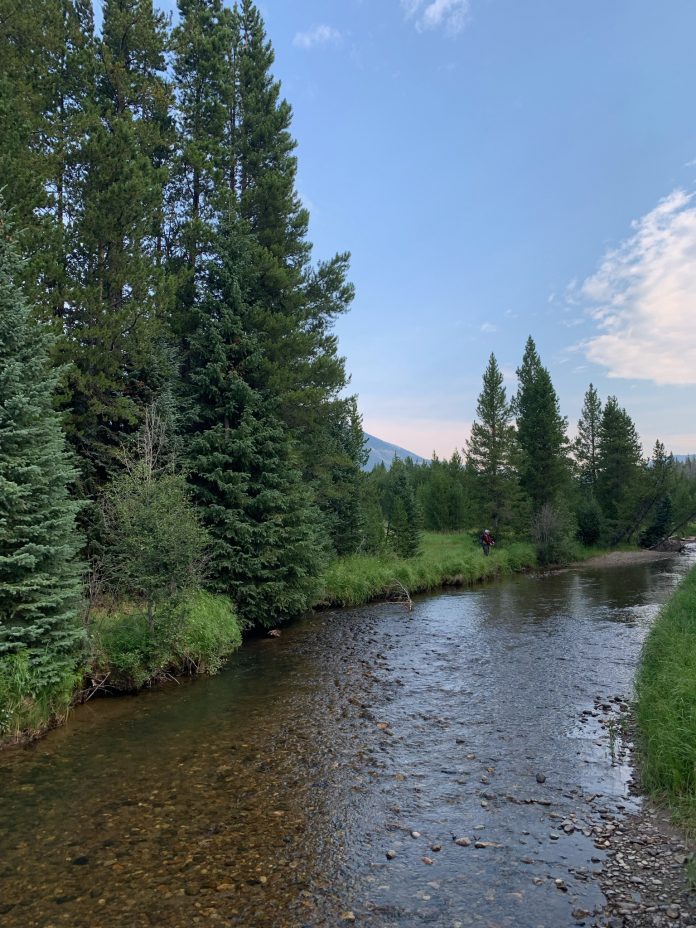 Exploring Colorado: Rocky Mountain National Park with Kids