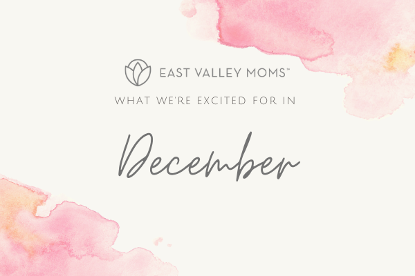 Pink watercolor graphic with "what we're excited for in December" written with the EVM logo.