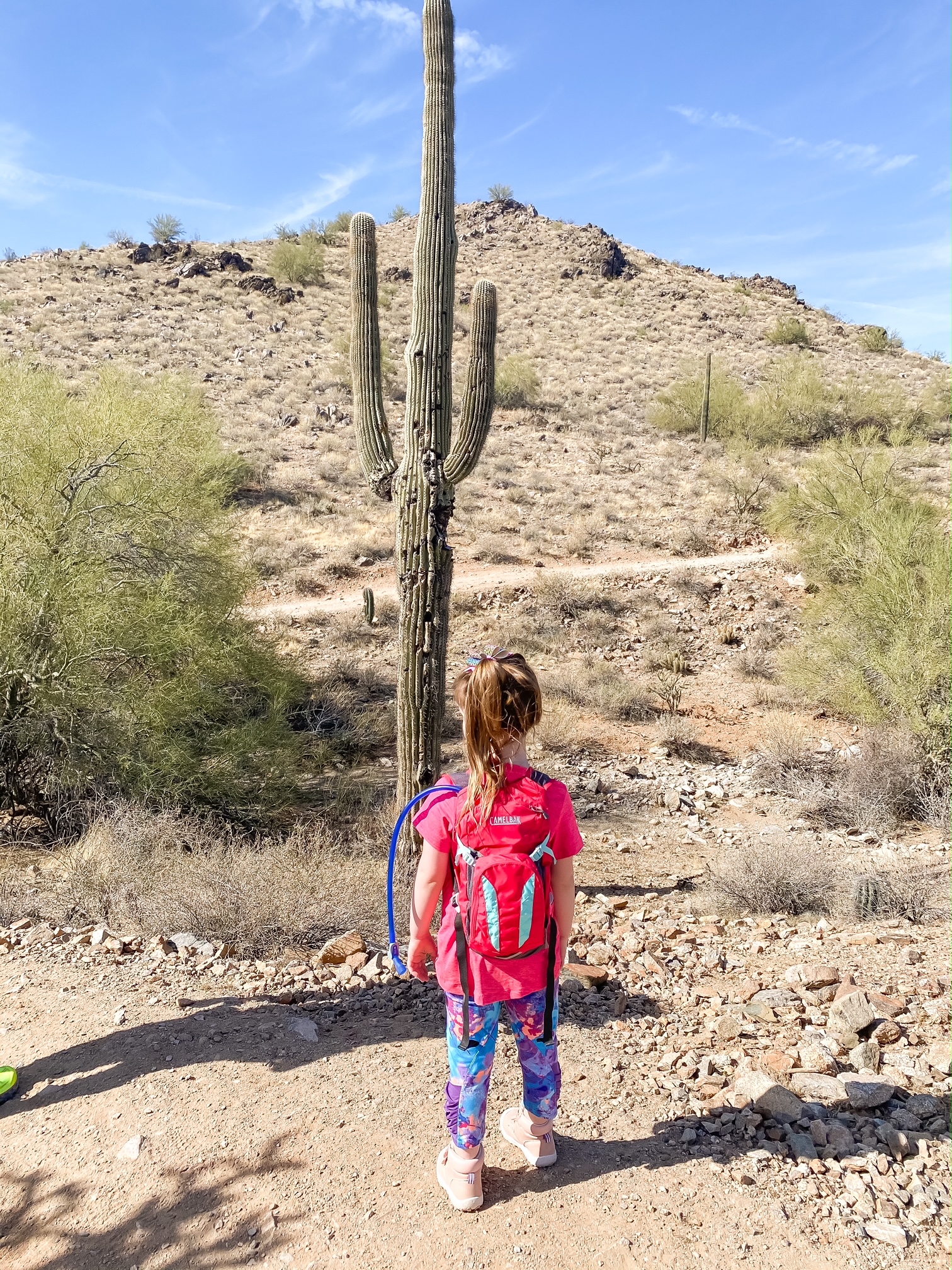 Little girl on a desert hike by a large saguaro cactus
