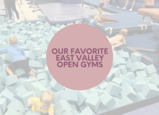 Our Favorite East Valley Open Gyms