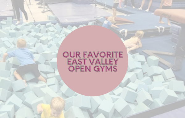 Our Favorite East Valley Open Gyms
