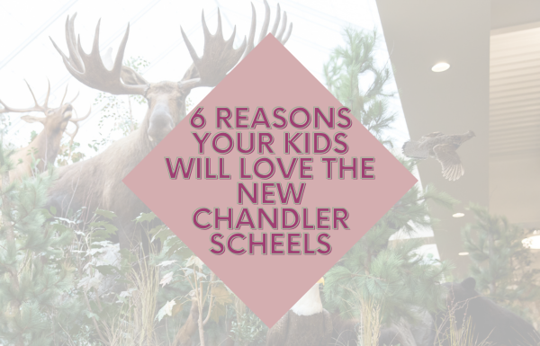 6 Reasons Your Kids Will Love the New Chandler SCHEELS