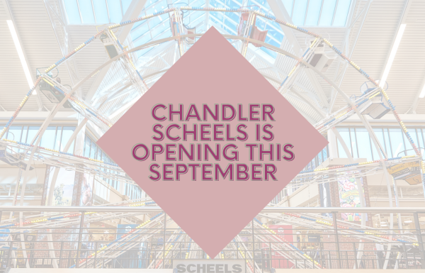 chandler scheels opening in september