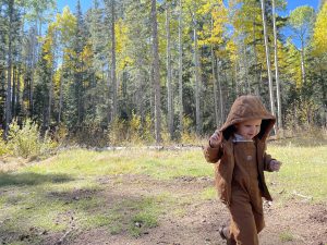 Things to do in Pinetop-Lakeside with Kids