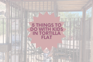 5 Things To Do With Kids in Tortilla Flat