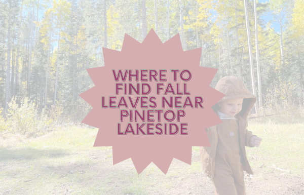 Where To Find Fall Leaves Near Pinetop Lakeside
