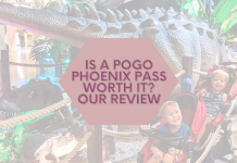 Is a POGO Phoenix Pass Worth It? Our Review