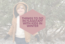 Things To Do In Flagstaff With Kids In Winter