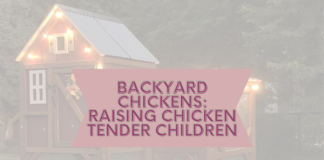 backyard chickens: raising chicken tender children