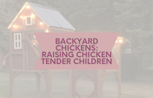 backyard chickens: raising chicken tender children