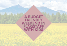A Budget Friendly Weekend In Flagstaff With Kids