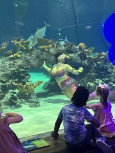 odysea aquarium review