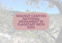 walnut canyon national monument in flagstaff with kids