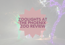 ZooLights at the Phoenix Zoo Review