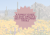 A Family Guide to East Valley’s Best Wildflower Trails