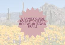 A Family Guide to East Valley’s Best Wildflower Trails