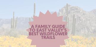 A Family Guide to East Valley’s Best Wildflower Trails