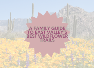 A Family Guide to East Valley’s Best Wildflower Trails