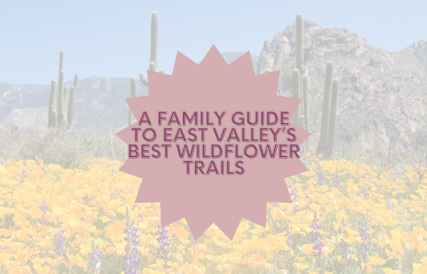 A Family Guide to East Valley’s Best Wildflower Trails