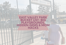 East Valley Park Bucket List: Big Playgrounds, Hidden Gems & Mom Hacks